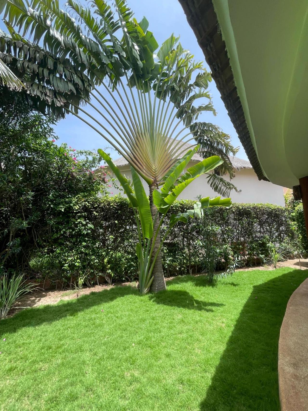 Agence Adjana Resort - Residence Du Port 3 Sali Tapé Dış mekan fotoğraf