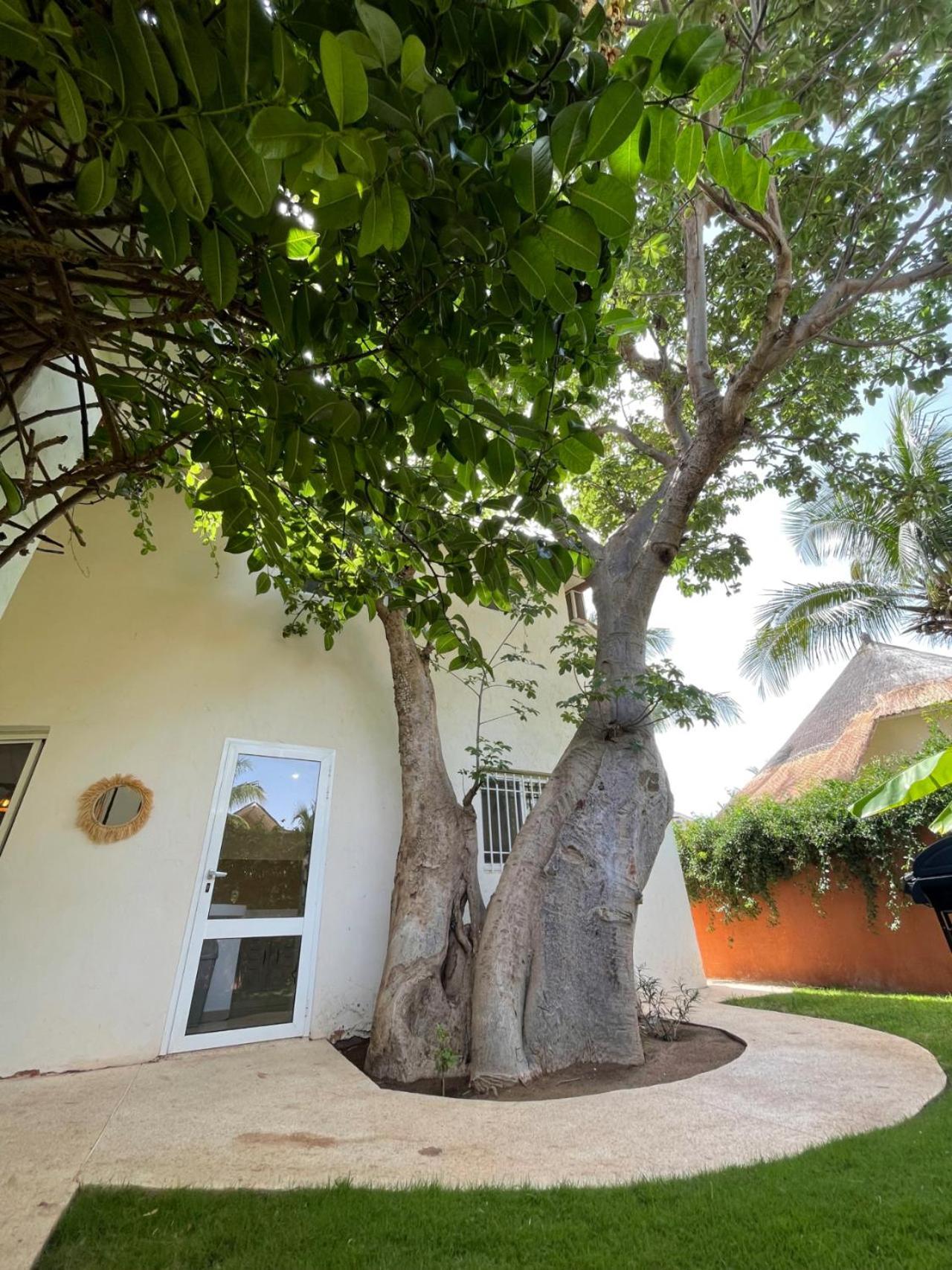 Agence Adjana Resort - Residence Du Port 3 Sali Tapé Dış mekan fotoğraf